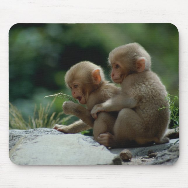 Tapis De Souris Préfecture de Nagano, Japon (Devant)