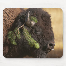 Préjudice de vacances