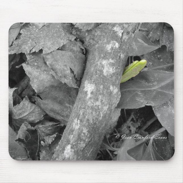 Tapis De Souris Premier signe du printemps (Devant)