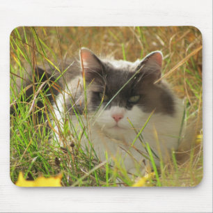 Tapis De Souris Prendre du soleil.