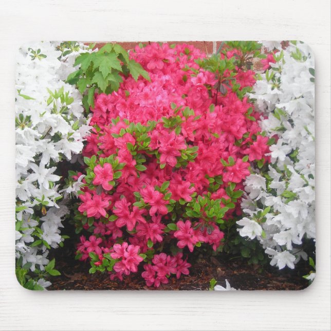 Tapis De Souris Pretty en azalées rose (et blanc) (Devant)