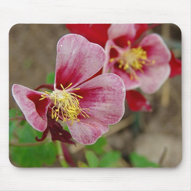 Tapis De Souris Pretty Flower (Devant)