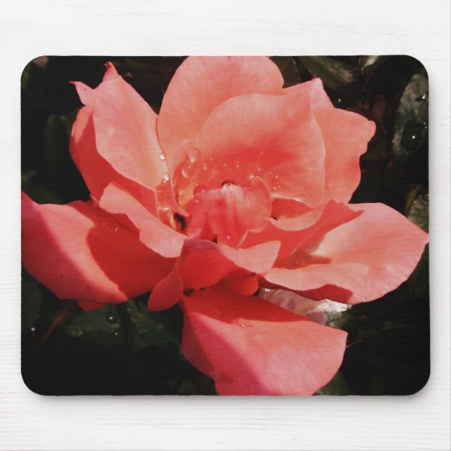 Tapis De Souris Pretty Peach Pink Rose floral (Devant)