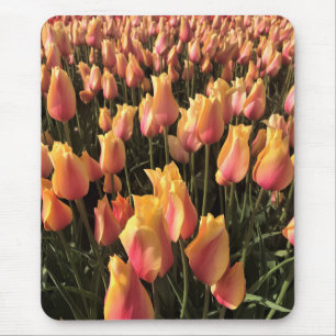 Tapis De Souris Pretty Pink et Yellow Tulips