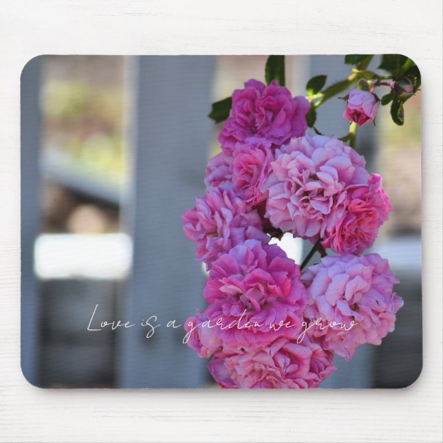 Tapis De Souris Pretty Pink Roses White Picket Fence Photography   (Devant)