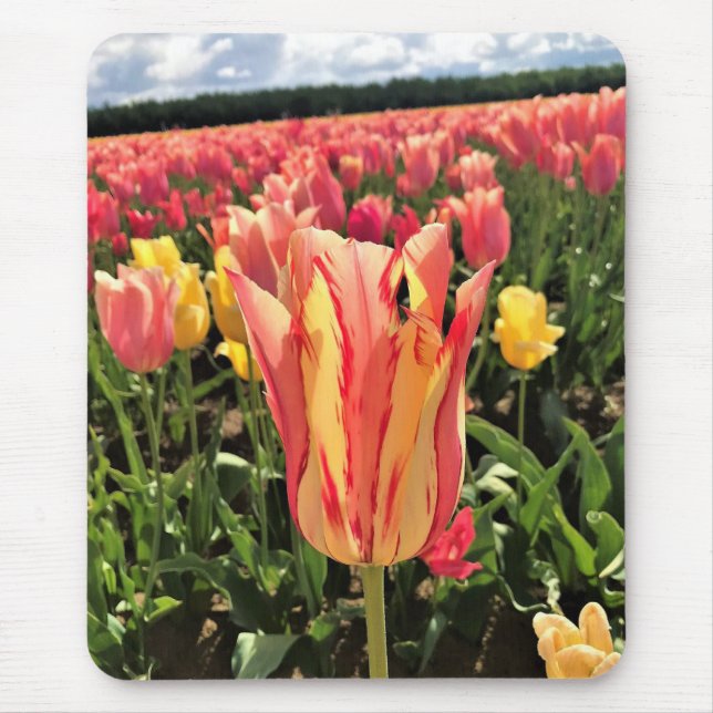 Tapis De Souris Pretty Spring Tulip (Devant)