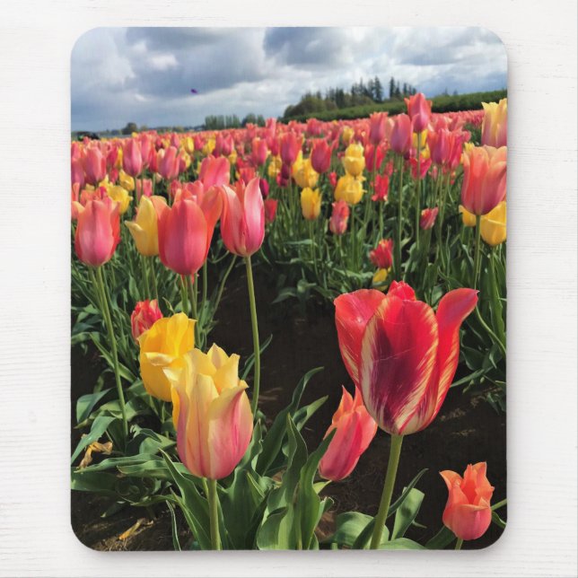 Tapis De Souris Pretty Spring Tulips in a Field, Oregon (Devant)