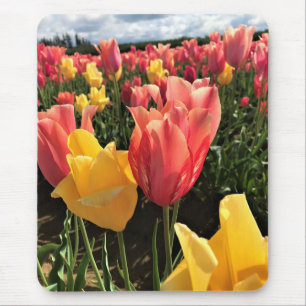 Tapis De Souris Pretty Spring Tulips in a Field, Oregon