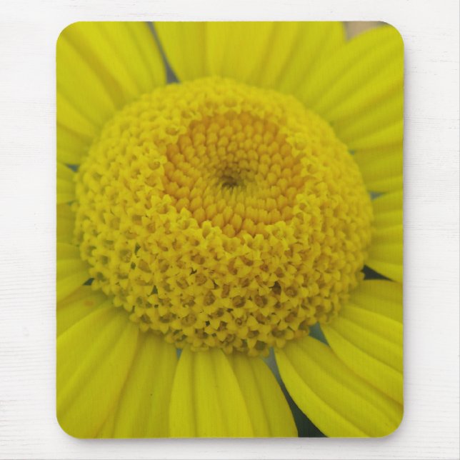 Tapis De Souris Pretty yellow marguerite (Devant)