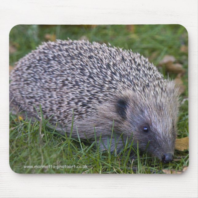 Tapis de souris Prickles (Devant)