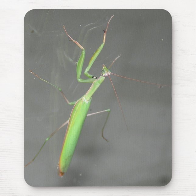 Tapis De Souris Prière Mantis Mousepad Plus (Devant)