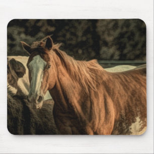 Tapis De Souris Primitive rustique de l'ouest cheval sauvage
