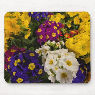 Tapis De Souris Primrose