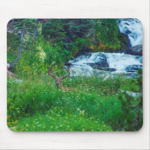 Tapis De Souris Prince de la Forêt
