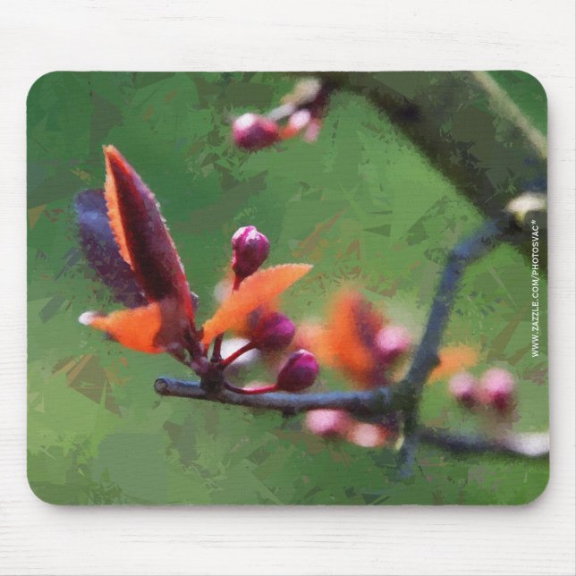 Tapis De Souris Printemps (Devant)