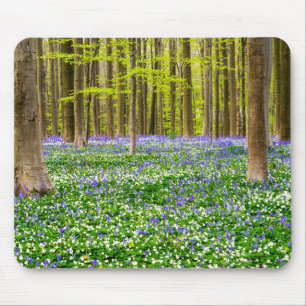 Tapis De Souris Printemps dans la forêt bleue