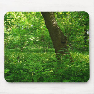 Tapis De Souris Printemps dans les bois