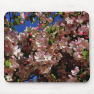 Tapis De Souris Printemps rose fleurit Art Floral
