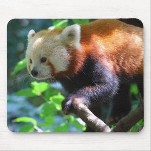 Tapis De Souris Produit de personnaliser