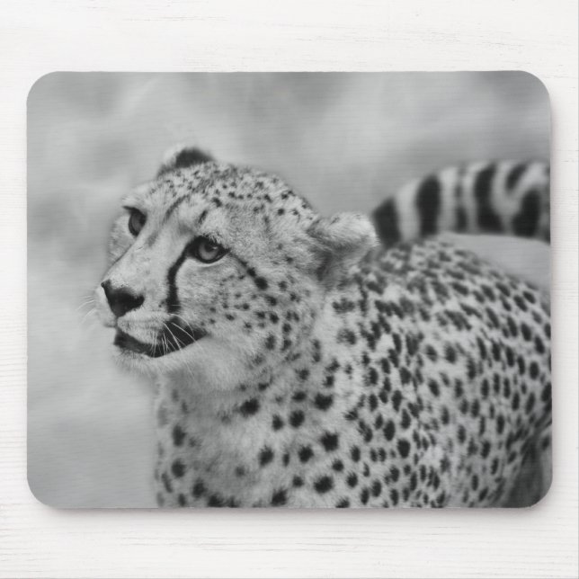 Tapis De Souris Profil de Cheetah (Devant)