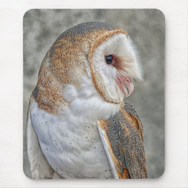 Tapis De Souris Profil de hibou de grange (Devant)