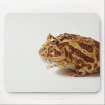 Tapis De Souris Profil de la grenouille à cornes argentine<br><div class="desc">Animaux->Grenouille</div>