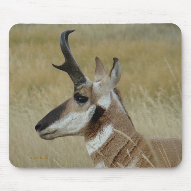 Tapis De Souris Profil de tête d'antilope d'A4 Pronghorn (Devant)