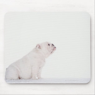 Tapis De Souris Profil de White Bulldog