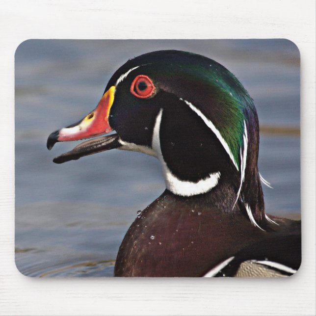 Tapis De Souris Profile of A Wood duck (Devant)