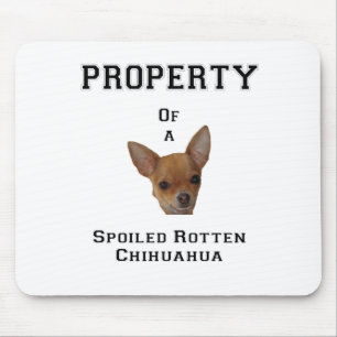 Tapis De Souris Propriété d'un chiwawa putréfié corrompu
