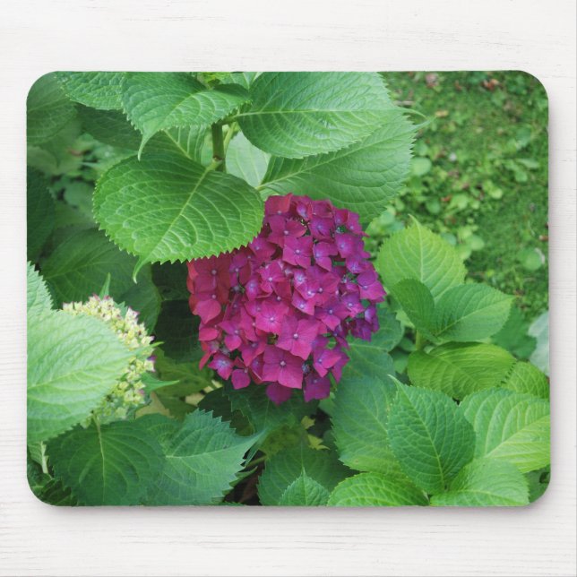 Tapis De Souris Protection de Hortensia (Devant)