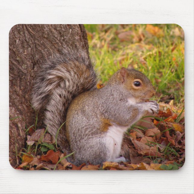 Tapis De Souris Protection de Mosue d'écureuil (Devant)