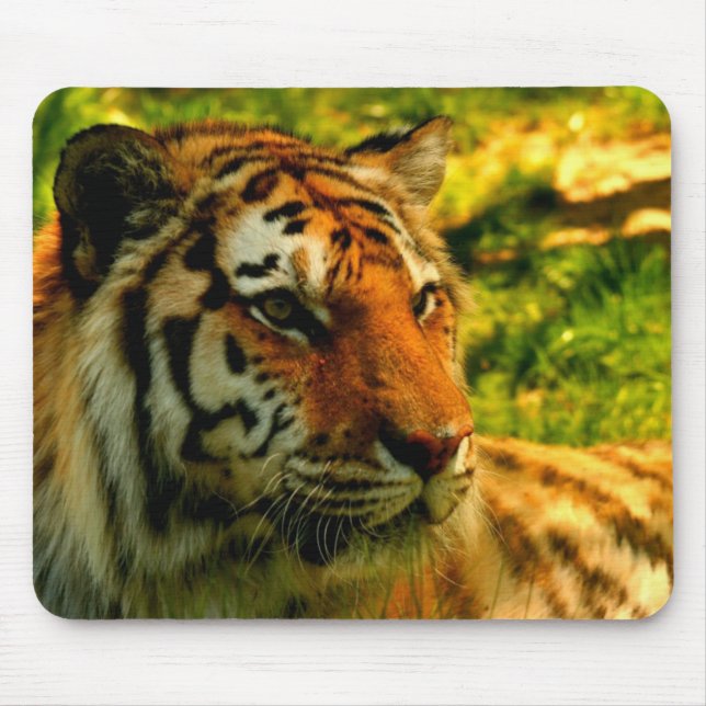 Tapis De Souris Protection de tigres (Devant)