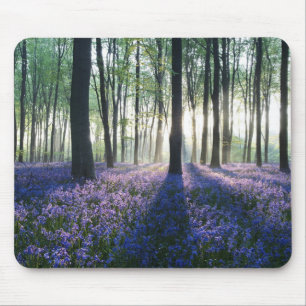 Tapis De Souris Protection-Forêt de souris