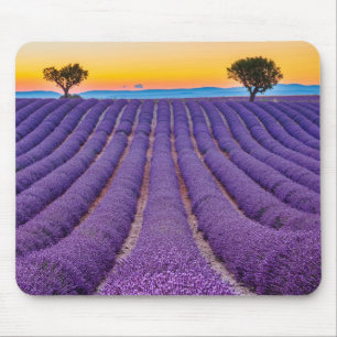 Tapis De Souris Provence, France