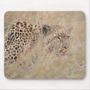 Tapis De Souris Prowling Leopard se cacher dans les Prairies