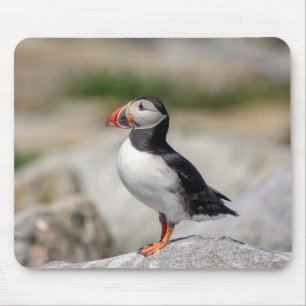 Tapis De Souris Puffin Atlantique en Machias, Maine