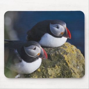 Tapis De Souris Puffin atlantique (Fratercula arctica) 7