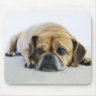 Tapis De Souris Puggle mignon Mousepad