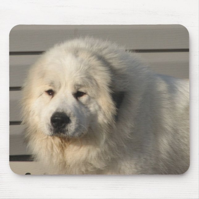 Tapis De Souris Puissance de Pyr (Devant)