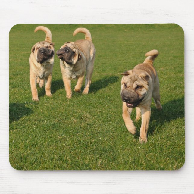 Tapis De Souris Puppies Shar Pei Jouer (Devant)