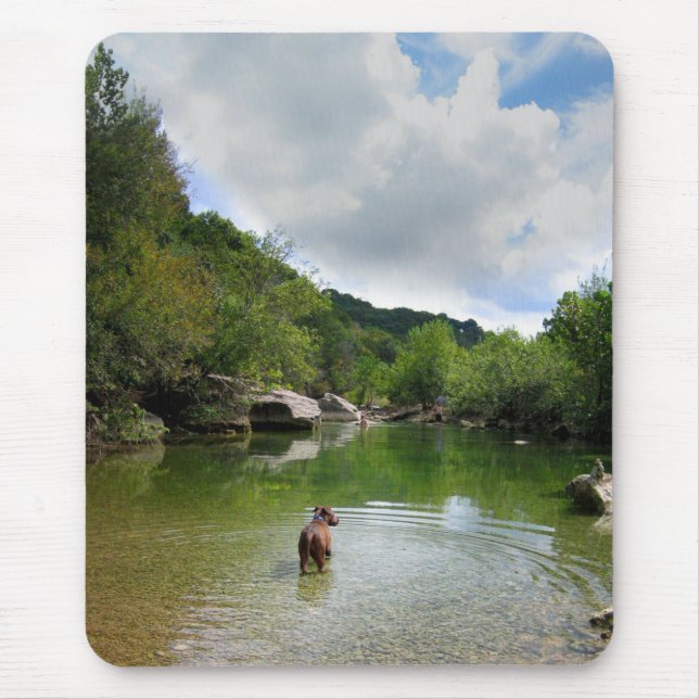 Tapis De Souris Puppy Exploration Barton Creek - Austin Texas (Devant)