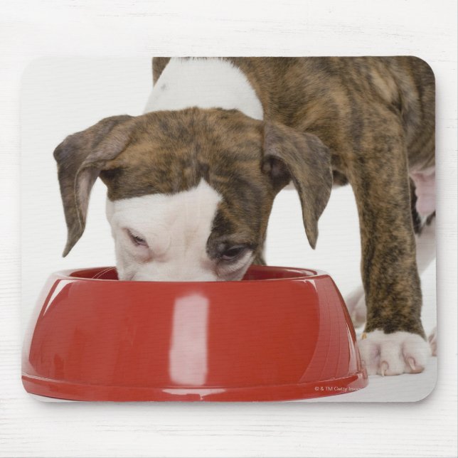 Tapis De Souris Puppy pitbull manger dans le plat (Devant)