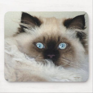 Tapis De Souris Purebred Birman Fluffy Cat Mousepad