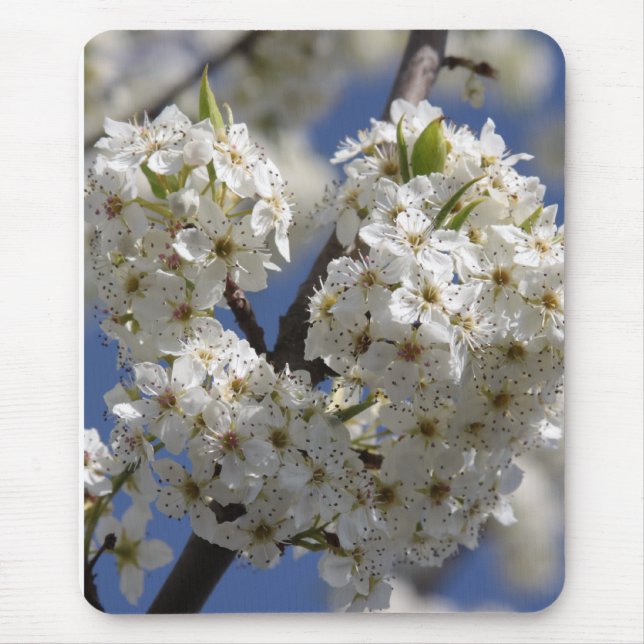 Tapis De Souris Pureté (Devant)