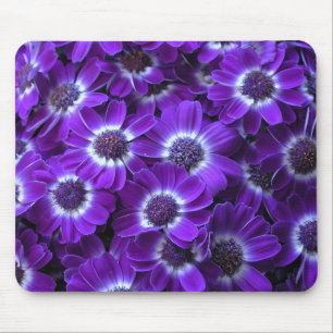 Tapis De Souris Purple cineraria