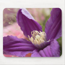 "Purple Clematis Macro - Élégant Pad Floral