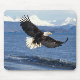 Tapis De Souris pygargue à tête blanche, Haliaeetus leuccocephalus