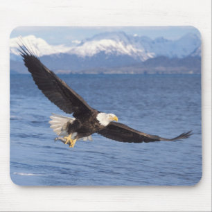 Tapis De Souris pygargue à tête blanche, Haliaeetus leucocephalus,