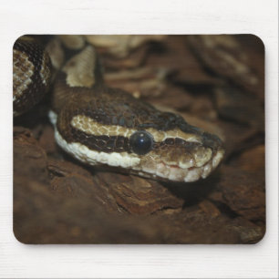 Tapis De Souris Python Brown